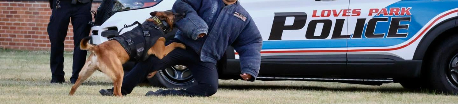 K-9 Unit