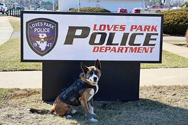 K-9 Unit