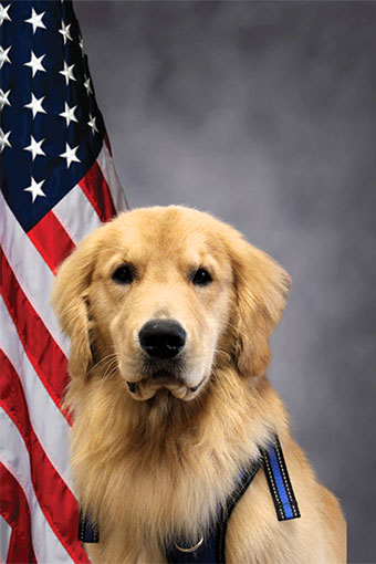 Therapy Dog Mango