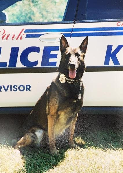 K-9 Nory